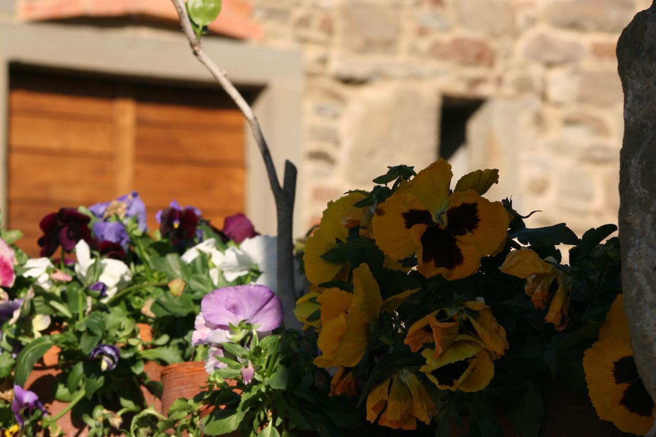 Podere Pian De' Cortini Villa Serravalle  Ngoại thất bức ảnh