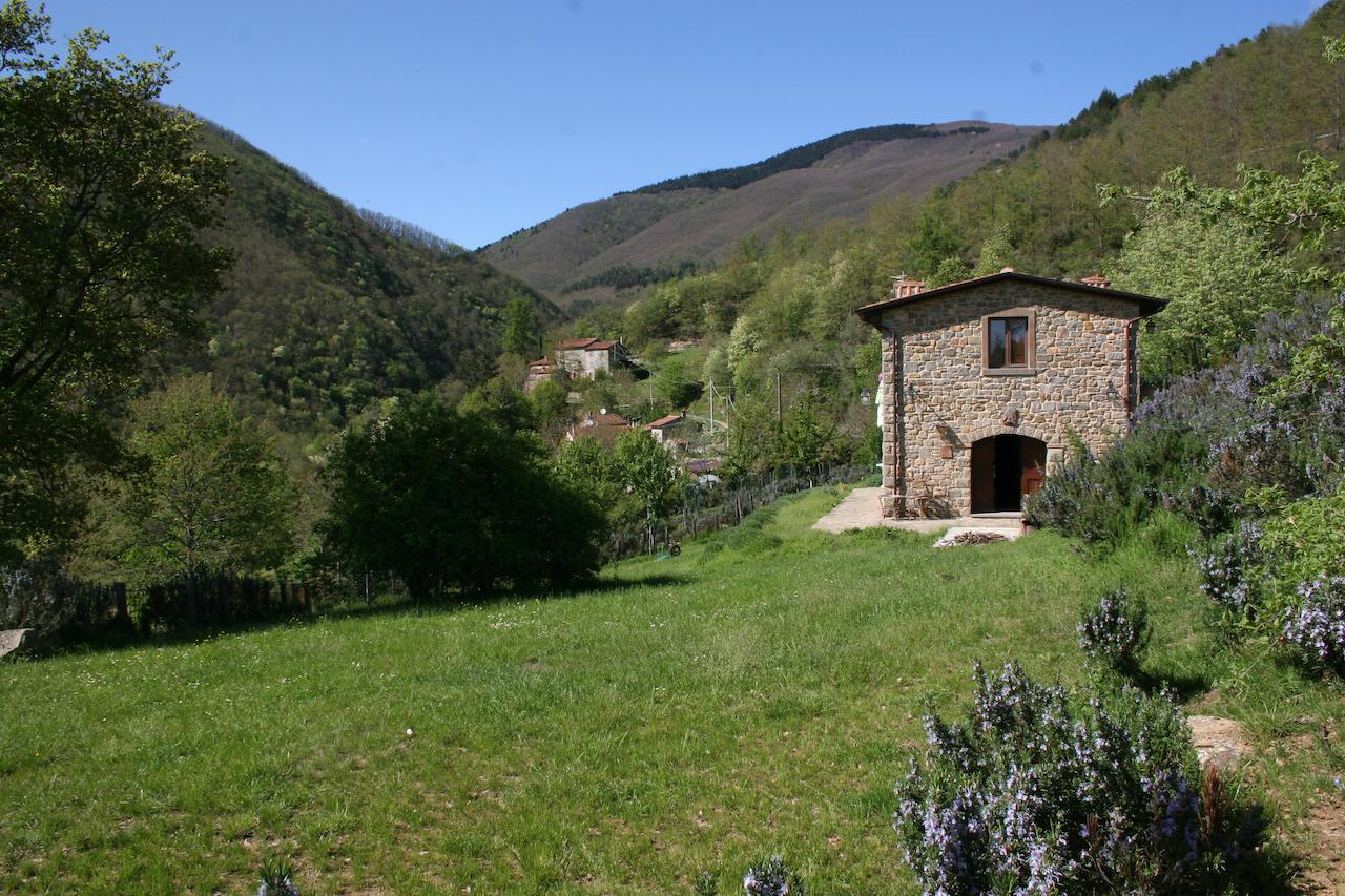 Podere Pian De' Cortini Villa Serravalle  Ngoại thất bức ảnh
